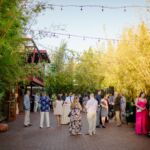 Alex and Kit Wedding - Ashlee Hamon Photo