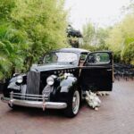August 2023 was the Roaring 20s Stylized Photoshoot at St. Pete venue NOVA 535 by McNeile Photography