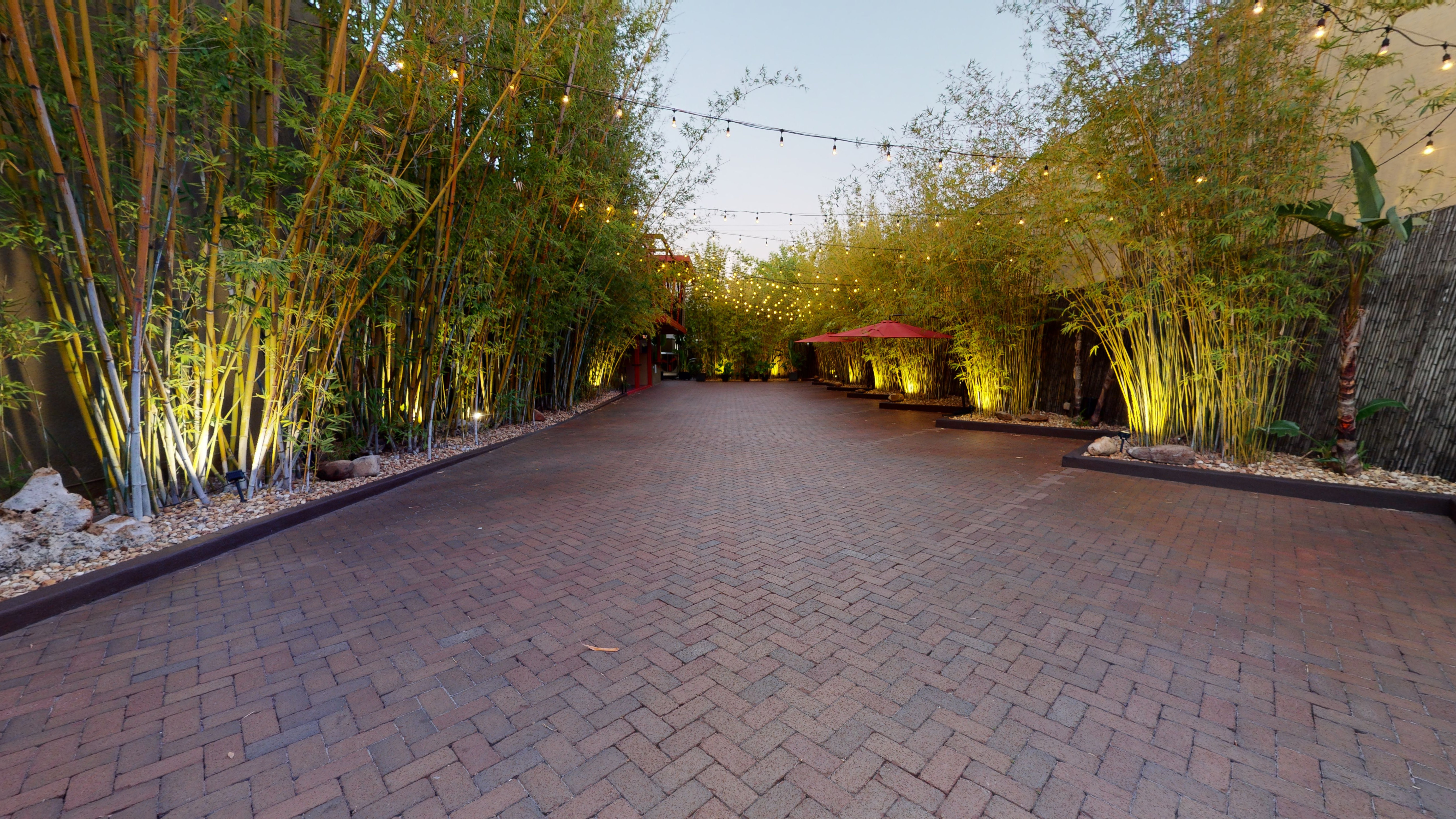 2020 Historic Downtown St. Pete, Florida private brick and bamboo courtyard at NOVA 535