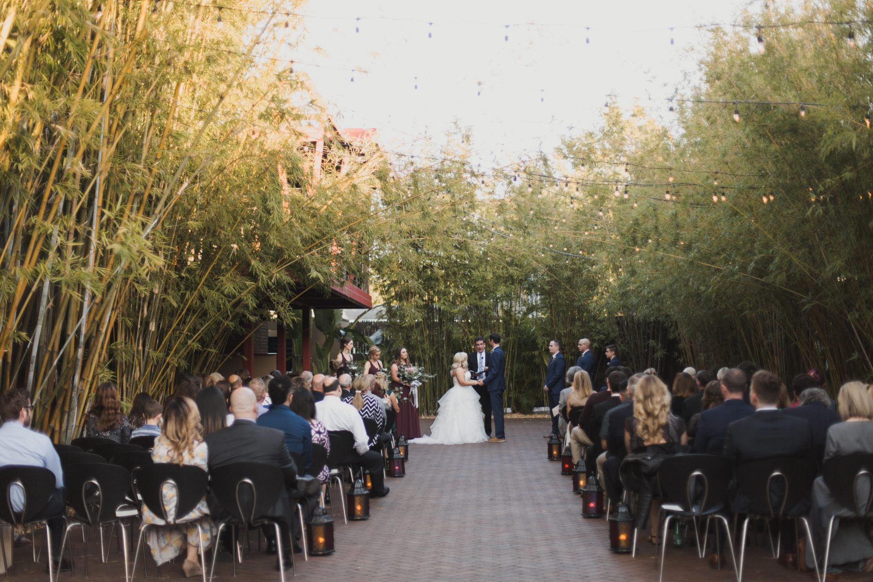 Bamboo garden wedding ceremony under string lights | Florida Winter Wedding at NOVA 535